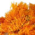2026 Hot Sale Natural Dried Calendula Detox Tea Herbal Tea Private Label Calendula Flowers Dried Arnica Y Calendula Tea