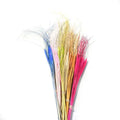 Natural Dried Dogtail Grass Chinese Pennisetum Wolf Tail Grass Home Decoration for Graduation Occasions