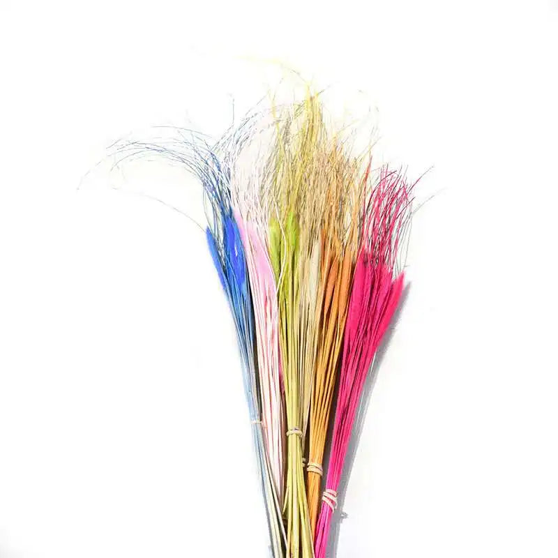 Natural Dried Dogtail Grass Chinese Pennisetum Wolf Tail Grass Home Decoration for Graduation Occasions