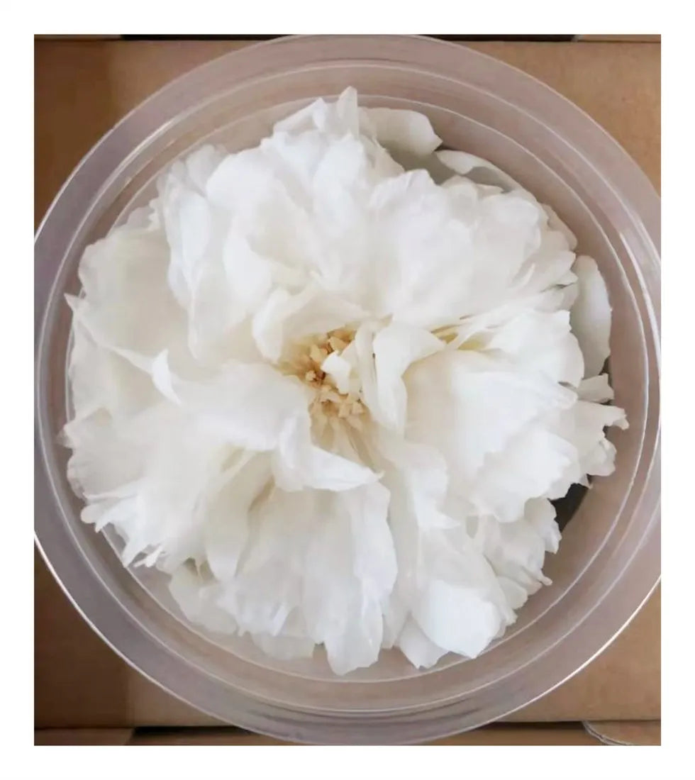 Yunnan Direct Supply Real Flower Preserved Peony Handmade for Florist Arrangement-Mother's Day & Valentine's Day Decor