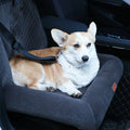 Fashionable Velvet Pet Bed Booster Seat for Small Dogs Cats Winter Travel Car Seat with Removable Safety Belt for Pets All Sizes