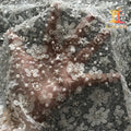 New Style Eco-Friendly Mesh Beaded Embroidery Bridal Lace Fabrics XM-BF0696