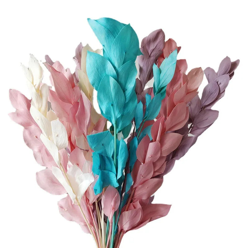 Preserved Foliage 2023 Orange Leaf Long Lasting Dried Flowers Stems Preserved Dried Flowers Orange Leaves for Dry Flower Bouquet