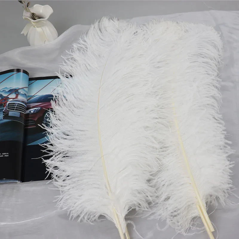65-70 cm Big Pole White Ostrich Feathers for Wedding Party Decorations Feather Walls and Feather Lights