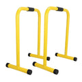 Multi Functional Fitness Lebert Equalizer/Parallettes