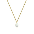 Ins Stainless Steel Waterproof Jewelry 18k Gold Freshwater Pearl Necklace Women Jewelry  Fresh Water Pearl  Necklace Chain