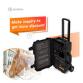 Portable Equine Animals Magnetic Therapy Pemf Physio Magneto PMST LOOP for Animals Muscle Issue PEMF MACHINE