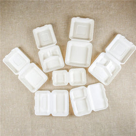 Biodegradable Food Packaging Containers Eco Friendly to Go Box Wholesale