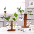 Planters Arrangement Glas En Hout Vaas Planter Flowering Pots Hydroponic Plant Vases Glass Vase Planter