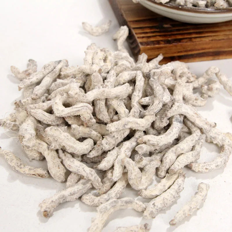 Jiang Can Chinese Dried Stiff Silkworm Bombyx Batryticatus for Herb Spice