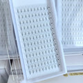 High Quality Handmade Matte Black 5D 6D 7D 10D 12D 14D 16D 20D Pointy Base Pre Made Volume Fans 0.05mm 0.03mm