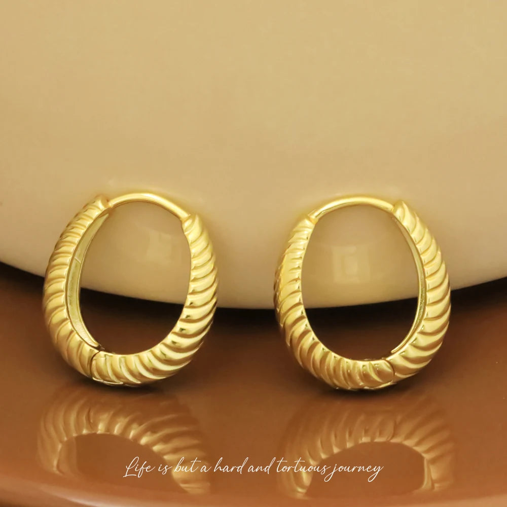 VIANRLA 925 Sterling Silver Jewelry Earrings 18k Gold Plated Trendy Hoop Earring for Women Free Laser Logo Wholesale