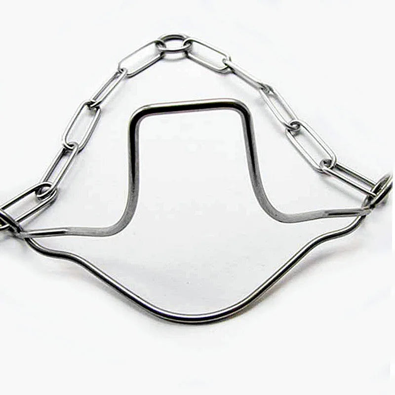 Durable Stainless Steel Dog Tags for Collars - Customizable and Professional