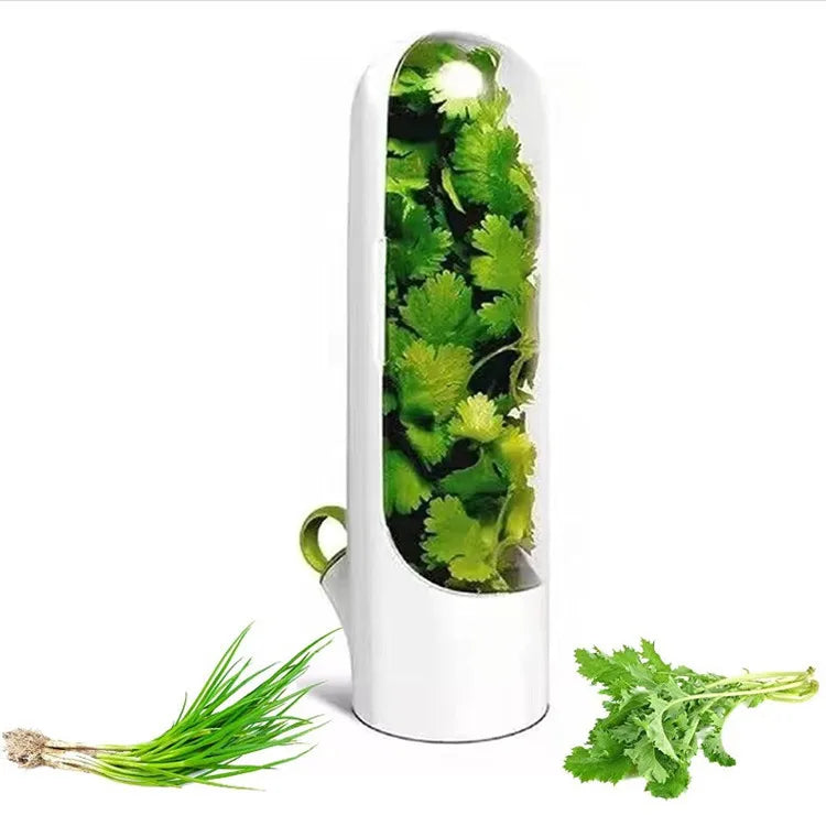 Wholesale Vegetable Storage Crisper the Crisper Kitchen Food Storage Container Herb Keeper Kitchen Gadgets