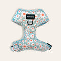 2022 Custom Luxury Pet Accessories Adjustable Dog Harness Vest Set Padded Neoprene No Pull Harnesses Luxury Dog Collar Leash