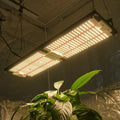 KingBrite King Brite LED 240W Samsung LM301H Epistar 660nm Red Full Spectrum QB288 Grow Light
