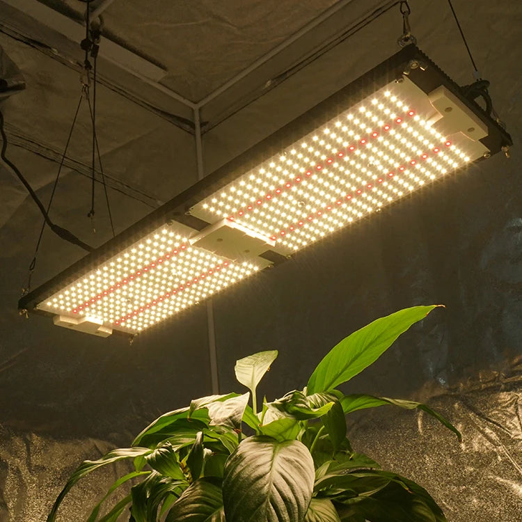 KingBrite King Brite LED 240W Samsung LM301H Epistar 660nm Red Full Spectrum QB288 Grow Light