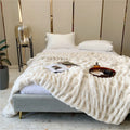 Promotional Price 150*200cm Beige White Faux Fur Winter Print Modern Blanket