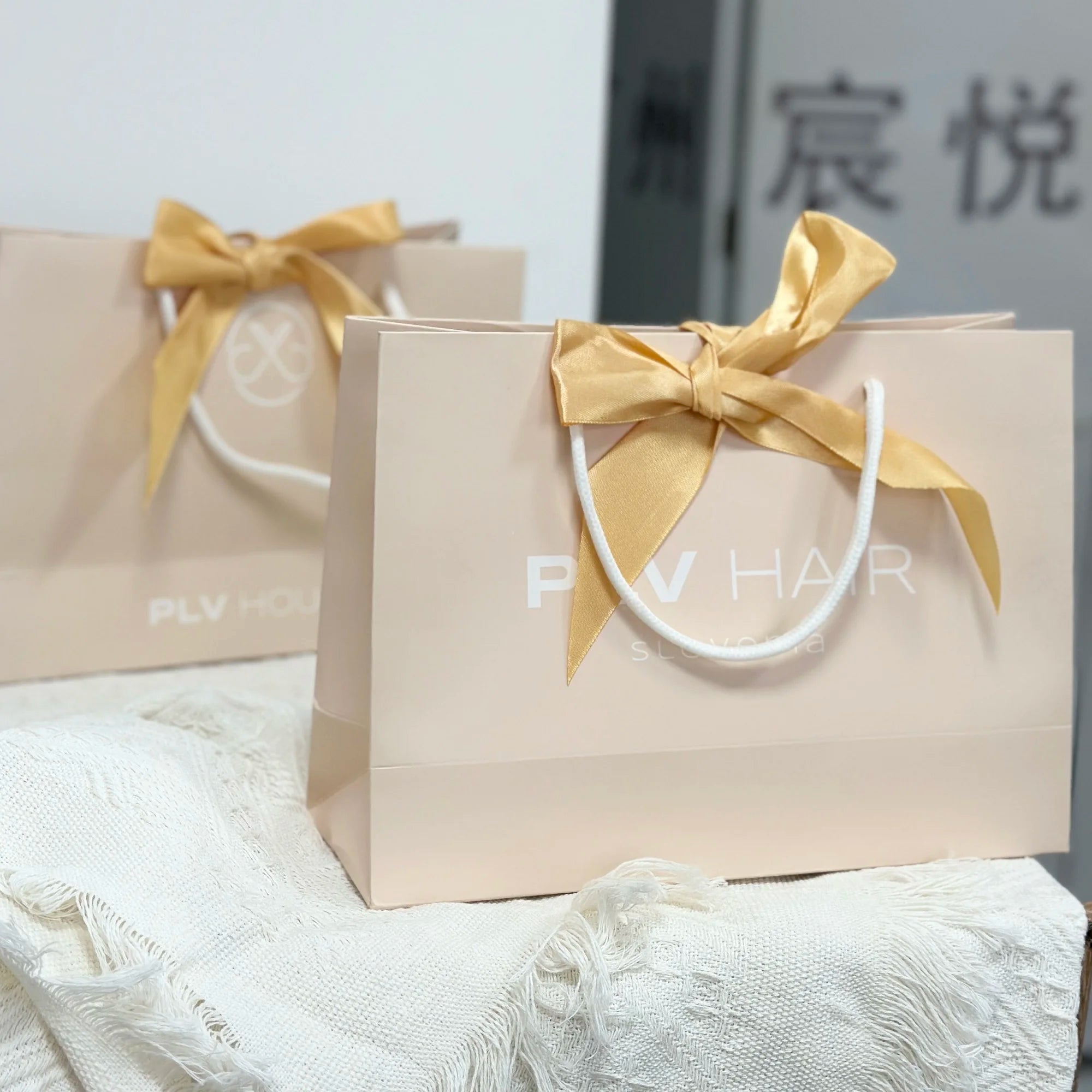 Shopping Gift Paper Bags with Tissue Paper Custom Durable Reusable Shipping Paper Bag with Handle