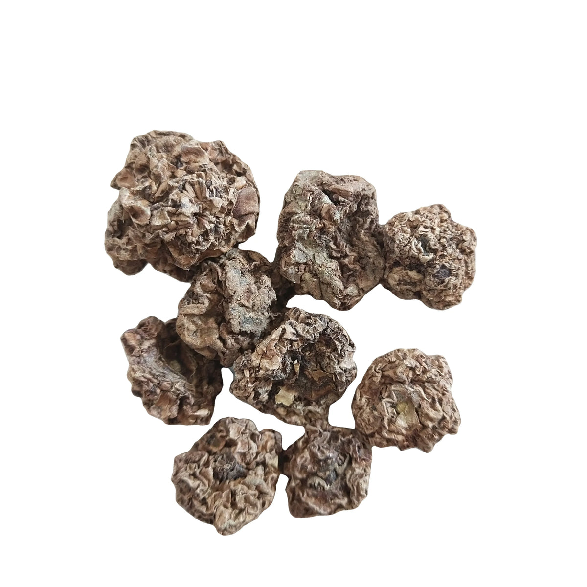 Mu Tian Liao New Dried Wild Silver Vine Fruits for Cats MegaBDM