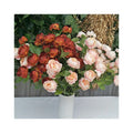 Valentine Artificial Flowers for Wall Decoration 6 Heads Exquisite Peonies