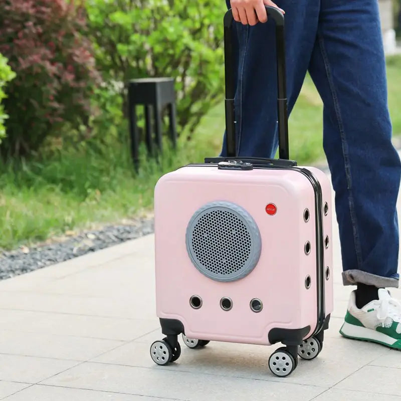 Portable Fashionable Pet Travel Backpack Pet Carriers Convenient Outdoor Zipper Closure Cat Carriers Small Animal Pet Air Box