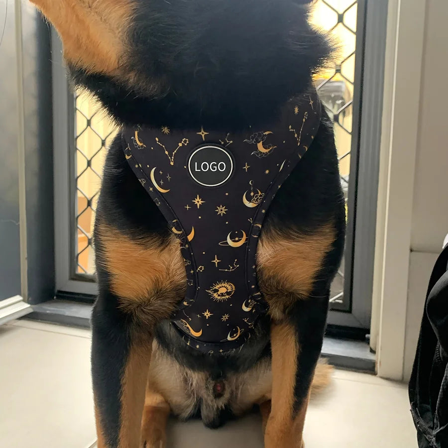 2025 Custom Leopard Celestial Dog Harness Lead Collar Reversible Set Comfortable Dog Harness Leash for Puppy and Big Dogs