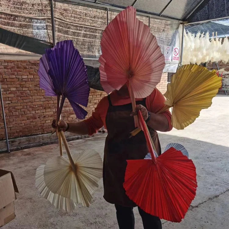 M095 MSH Brand Floral Dried Arrangement Wedding Large Fan Palm Spear Preserved Bleach White Pink Natural Dried Palm Leaves MegaBDM