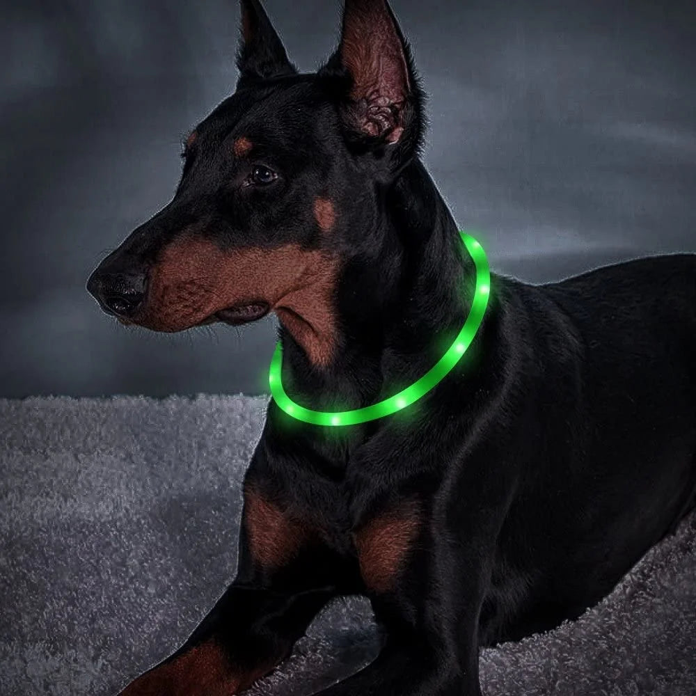 Rechargeable Glow in the Dark  Dog Collar With Led Glowing Pet Safety Collar Adjustable Light up Flashing Dog Led Collar