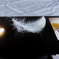 Hot Products With Competitive Prices of Ostrich Feathers Trim Dyed Color Ostrich Feather Fringe for Sale