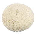 Customizable 9 Inch Double-Sided LambWool Polishing Buffing Pad for Car Care Detailing Polishing
