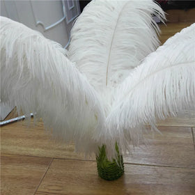Factory Wholesale N-0082 Colorful Huge Natural Pure Large Wing Ostrich Feather