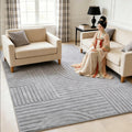 Soft Jacquard  Carpet with Non Slip Backing  Thick  Arched Stripes Carpets and Rugs for Living Room
