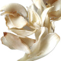 1091 Bai He Health Natural Herbal Products Dried Bitter Lily for Tea