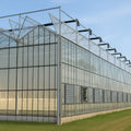 Cheap Intelligent Agriculture Multi-span Glass Large Greenhouse Glass Glass Green House Top and Sides Ventilation System