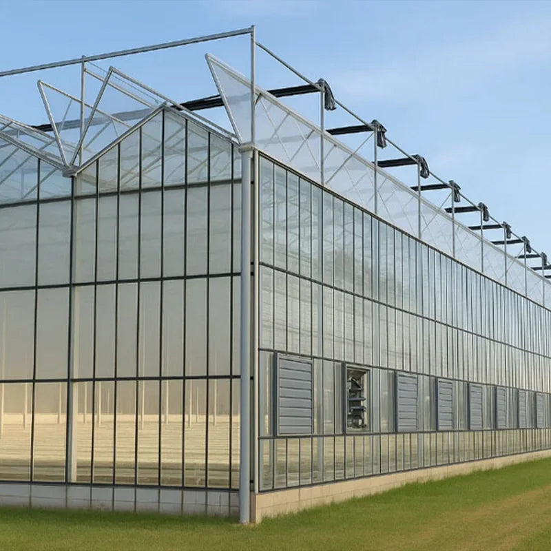 Cheap Intelligent Agriculture Multi-span Glass Large Greenhouse Glass Glass Green House Top and Sides Ventilation System