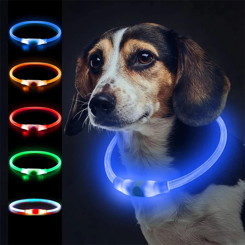 USB Rechargeable LED Light Dog Collar Water Resistant Reflective Flashing Light Customizable Size for Any Dog Promotional Pet