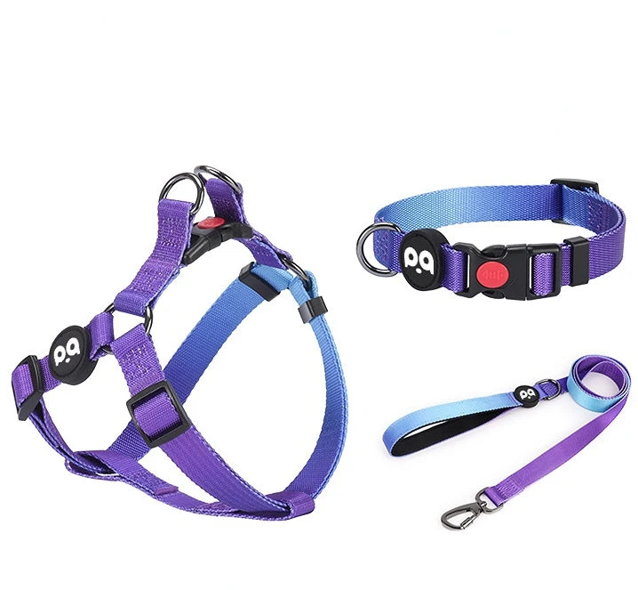 Hot Selling Wholesale Velvet Harness Vest Luxury Dog Leash and Harness Pet Dog Collar
