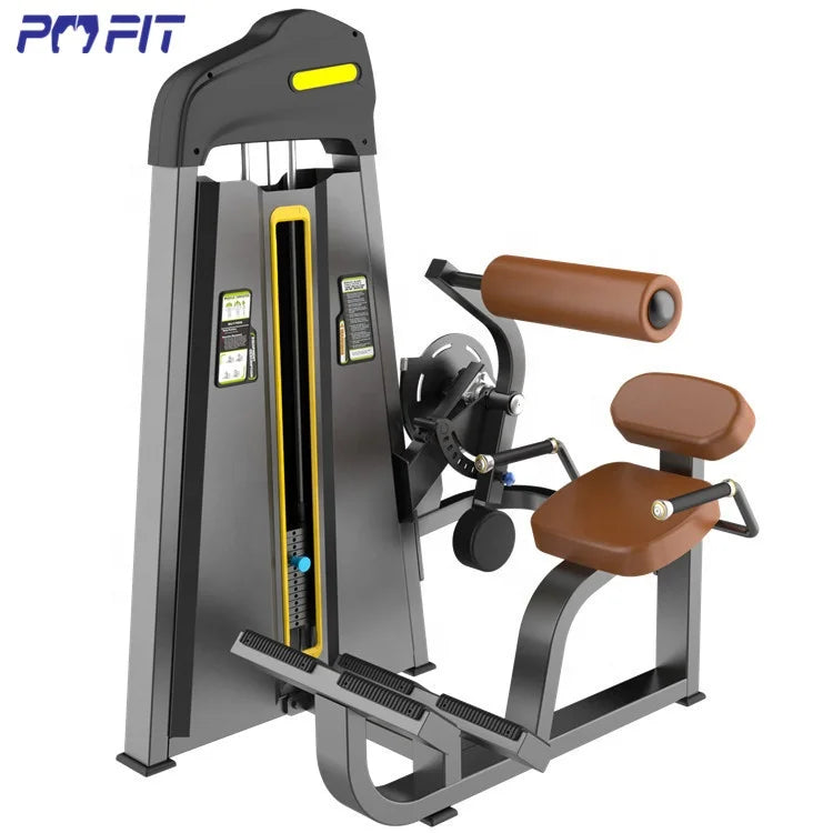 Muti Functional Trainer Pin Loaded Fitness Equipment Workout Back Extension Machine Exercise Back Extension