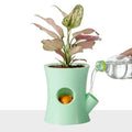 Creative Cartoon Lazy Self-Absorbing Water Furniture Gardening Decoration Green Dill Hydroponic Water-Free Plastic Flower Home