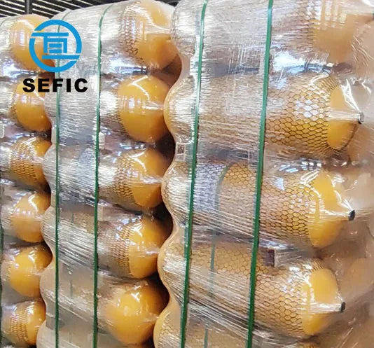 Hot Sales 325mm 65L CNG Cylinder Type 1 CNG Tank High Pressure Gas Cylinder for Vehicle