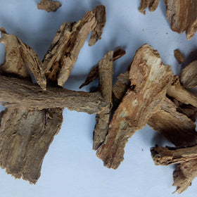 Di Gu Pi Chinese Herbism Dried Chinese Wolfberry Root Bark Single Spices & Herbs for Sale