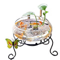 Modern Design Large-Caliber Flat Mouth Transparent Glass Vase Daffodil Copper Coin Lotus Flower for Water Grass Flower Display