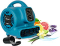 XPOWER P-250T Freshen Mini Mighty Scented Air Mover