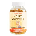 Private Label Bulk Glucosamine Chondroitin Turmeric Extract Glucosamine Capsule Tablets Gummies Improve Bone and Joint