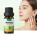 Private Label SADOER Rosemary Moisturizing Body Care Essence Oil