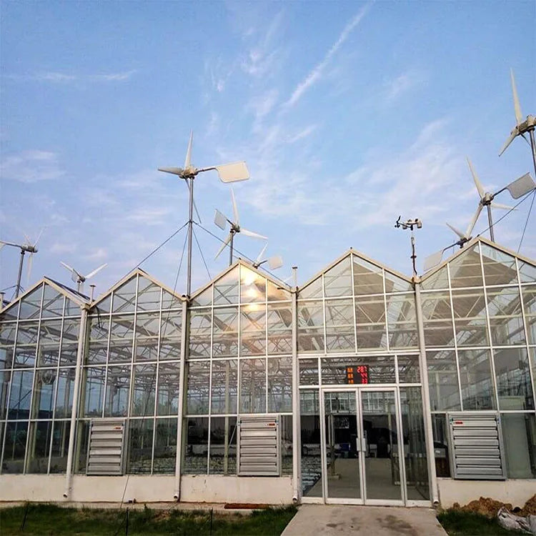 Agricultural Intelligent Holland  Greenhouse Glass Agriculture Vegetable Greenhouse for Tomatoes Cucumber Lettuce