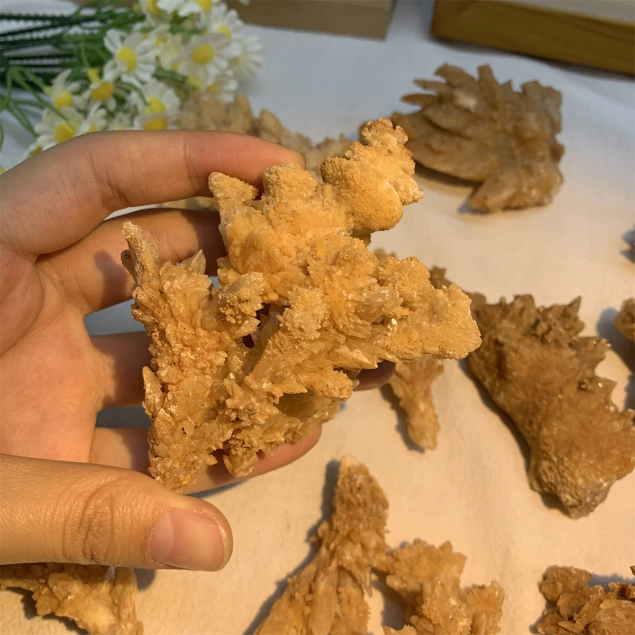 Natural Crystal Specimen Healing Stone Quartz Cluster Mineral Raw Yellow Calcite Coral