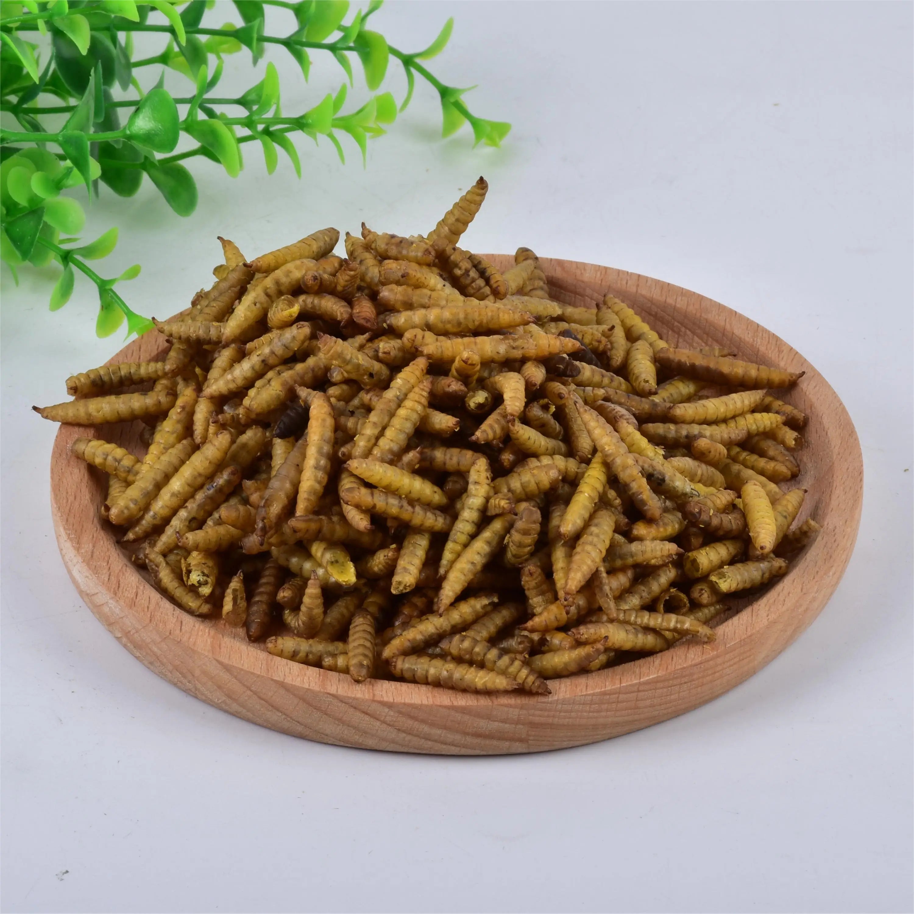 SC-L08 80LB Dried Black Soldier Fly Larvae Nutritious Dry Food for Birds Poultry Reptiles 80LB Animal Nutrition