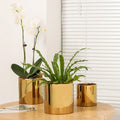 Customized Gold Ceramic Flower Pot Set for Home Elegant Plant Pots